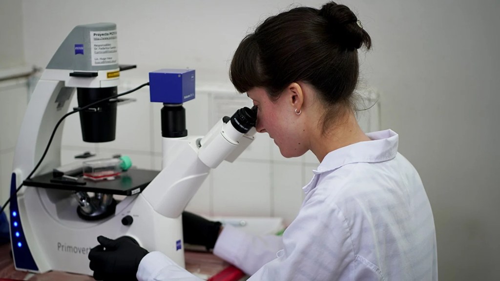 Investigadores argentinos desarrollan una vacuna contra la gripe aviar con tecnología de ARN&nbsp;mensajero